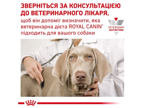 Фото - ветеринарні корми Royal Canin GASTRO INTESTINAL LOW FAT LF22 (ГАСТРО ІНТЕСТИНАЛ ЛОУ ФЕТ) сухий лікувальний корм