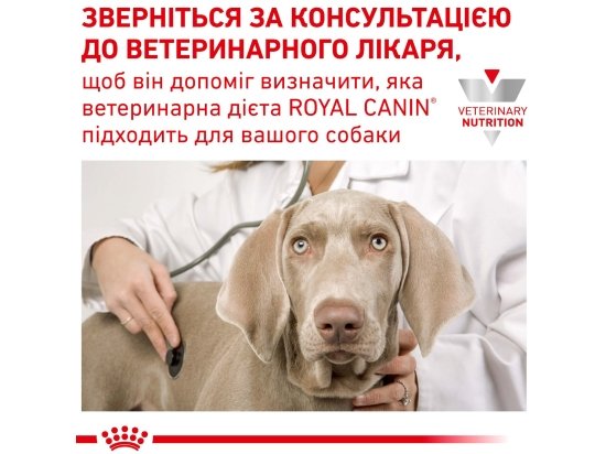Фото - ветеринарные корма Royal Canin URINARY лечебный влажный корм для собак при мочекаменной болезни