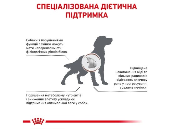 Фото - ветеринарные корма Royal Canin HEPATIC HF16 (ГЕПАТИК) сухой лечебный корм для собак