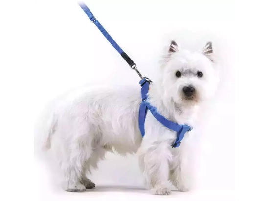 Фото - амуніція Collar Dog Extremе нейлонова регульована шлейка для собак, чорний