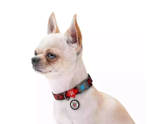 Фото - амуниция Collar WAUDOG Nylon ошейник нейлоновый c QR паспортом, пластиковый фастекс, ШОТЛАНДКА КРАСНАЯ