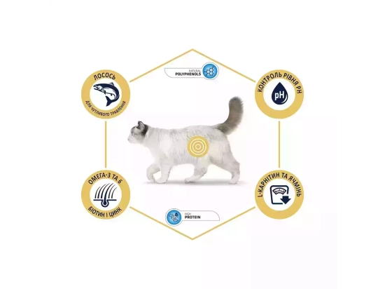 Фото - сухий корм Advance (Едванс) Sensitive Sterilized корм для стерилізованих кішок З ЛОСОСЕМ І ПШЕНИЦЮ