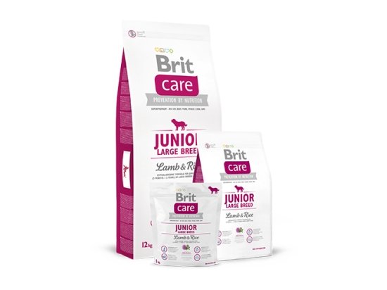 Фото - сухой корм Brit Care Junior Large Breed Lamb & Rice Корм для щенков крупных пород с ягненком и рисом