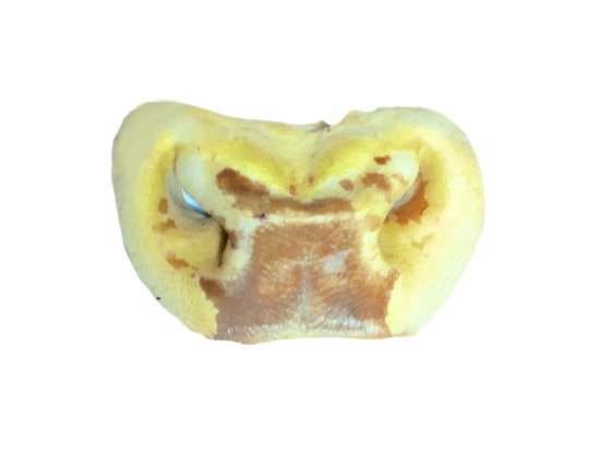 Фото - ласощі Штерн (яловичі губи кальциновані) сушені ласощі для собак