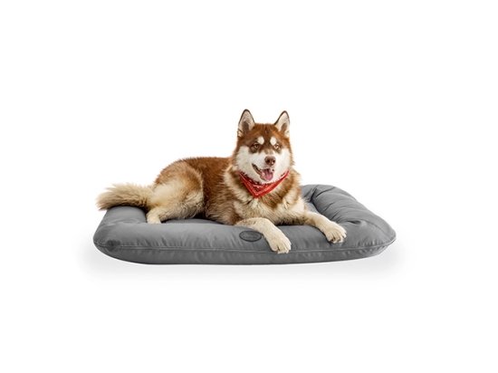 Фото - лежаки, матраси, килимки та будиночки Harley & Cho LOUNGER WATERPROOF лежак-понтон двосторонній для собак