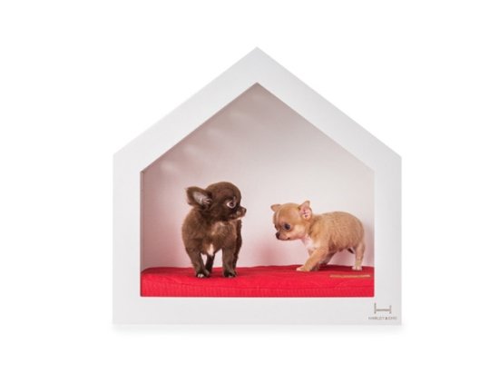 Фото - спальні місця, лежаки Harley & Cho SHELTER будиночок-будка для собак та котів