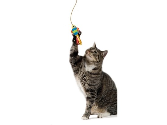 Фото - игрушки Petstages (Петстейджес) Dangling Fish рыбка на присоске - игрушка для кошек
