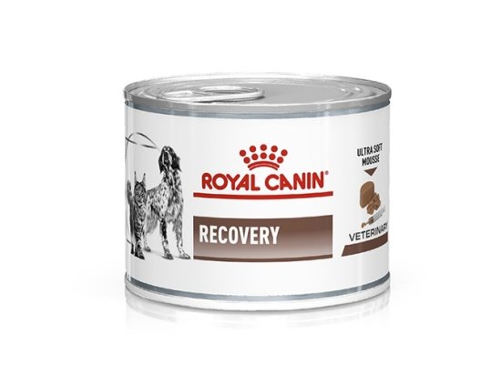 Фото - ветеринарні корми Royal Canin RECOVERY (РЕКАВЕРІ) лікувальний вологий корм для собак та котів