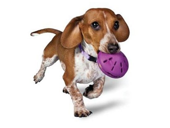 Фото - игрушки Trixie (Трикси) ДИСК-КОРМУШКА игрушка для собак