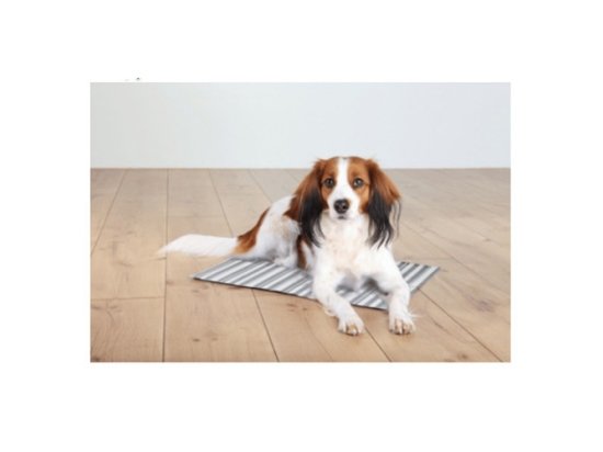 Фото - лежаки, матраси, килимки та будиночки Trixie COOLING MAT охолодний килимок для собак і кішок СВІТЛО-БЛАКИТНИЙ