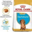 Фото - сухой корм Royal Canin DACHSHUND PUPPY (ТАКСА ПАППИ) корм для щенков до 10 месяцев