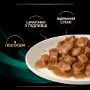 Фото - ветеринарные корма Purina Pro Plan (Пурина Про План) Veterinary Diets EN Gastrointestinal Salmon влажный лечебный корм для кошек c заболеваниями ЖКТ, ЛОСОСЬ