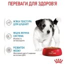 Фото - вологий корм (консерви) Royal Canin MINI PUPPY вологий корм для цуценят дрібних порід від 2 до 10 місяців