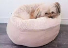 Фото - лежаки, матраси, килимки та будиночки Trixie Elsie Лежак для собак, бежевий