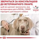 Фото - ветеринарні корми Royal Canin URINARY лікувальний вологий корм для собак при сечокам'яній хворобі