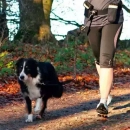 Фото - дрессировка и спорт Trixie Комплект для бега с собакой (1275)