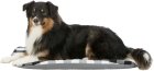 Фото - лежаки, матраси, килимки та будиночки Trixie Scoopy Cushion - М'яке місце для собак (3722)