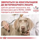 Фото - ветеринарні корми Royal Canin HEPATIC лікувальний вологий корм для собак при захворюваннях печінки