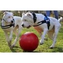 Фото - игрушки Jolly Pets BOUNCE-N-PLAY игрушка для собак, мяч БОЛЬШОЙ