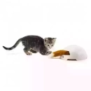 Фото - іграшки PetSafe FROLI CAT інтерактивна іграшка для котів