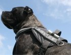 Фото - амуниция Collar POLICE Регулируемая шлея для собак, черный