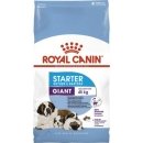 Фото - сухой корм Royal Canin GIANT STARTER MOTHER & BABYDOG корм для беременных и кормящих сук и щенков гигантских-пород