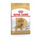 Фото - сухой корм Royal Canin GOLDEN RETRIEVER ADULT (ГОЛДЕН РЕТРИВЕР ЭДАЛТ) корм для собак от 15 месяцев