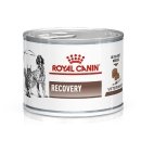 Фото - ветеринарні корми Royal Canin RECOVERY (РЕКАВЕРІ) лікувальний вологий корм для собак та котів
