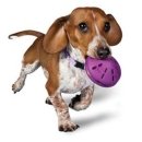 Фото - игрушки Trixie (Трикси) ДИСК-КОРМУШКА игрушка для собак
